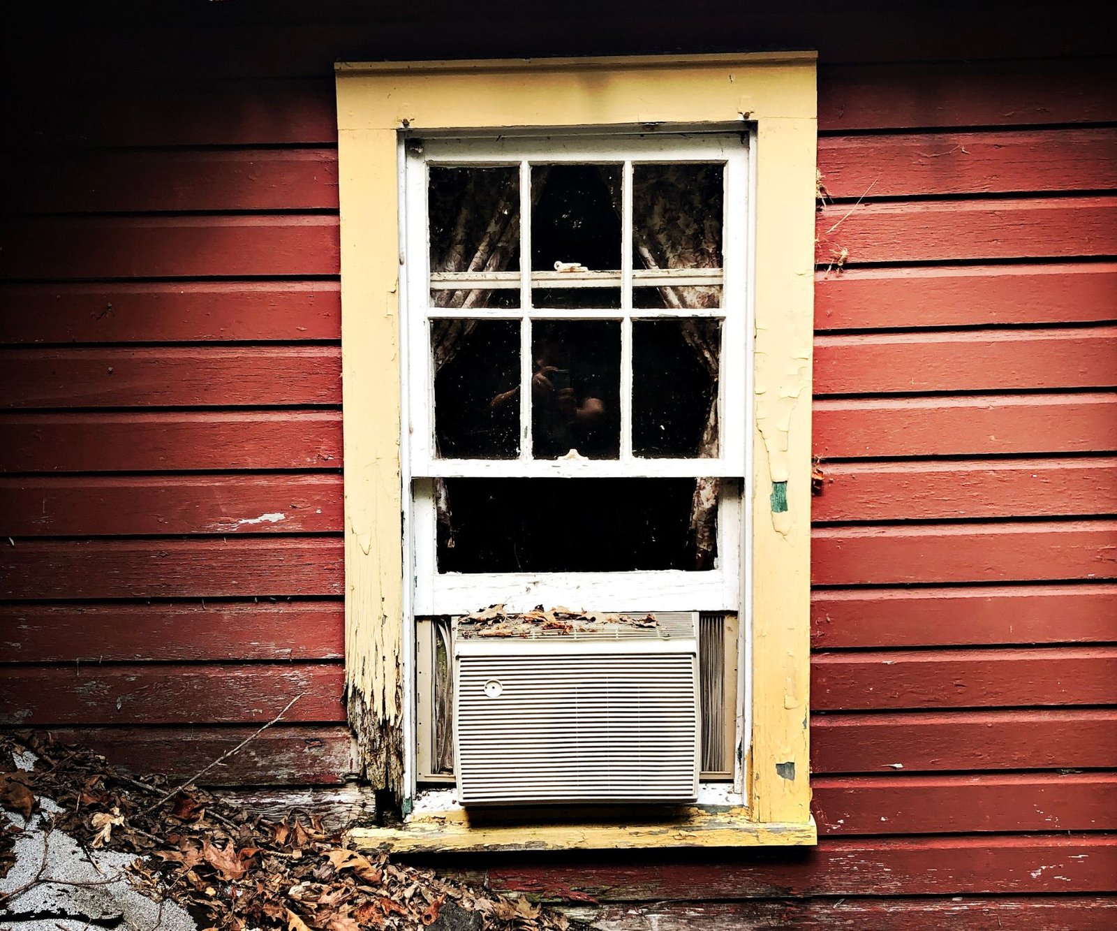 window ac covered in leaves