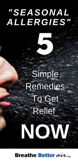 seasonal allergy remedies