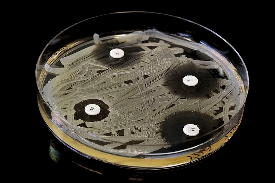 Air Purifier or Dehumidifier For Mold