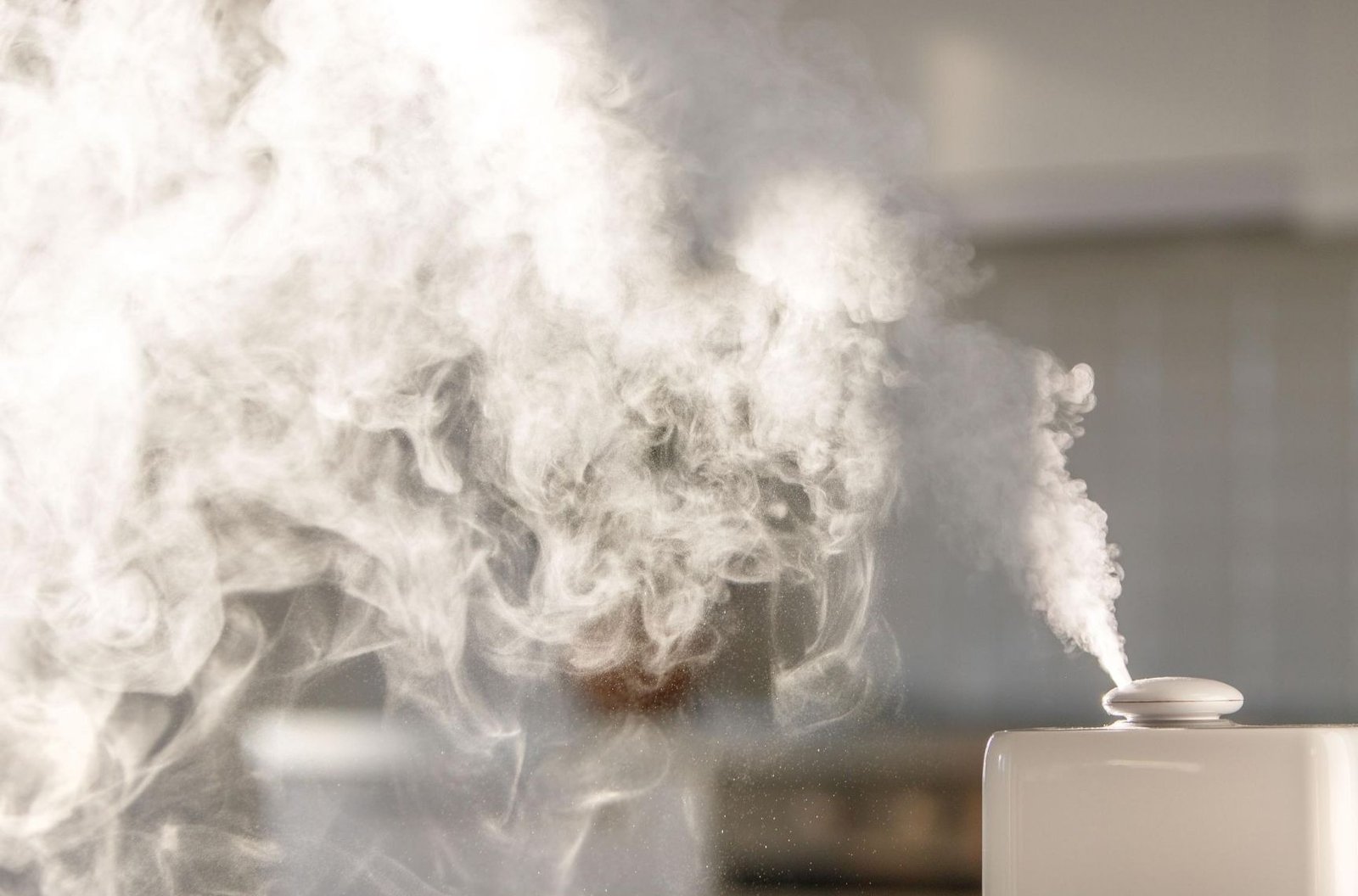 Humidifier vs Dehumidifier
