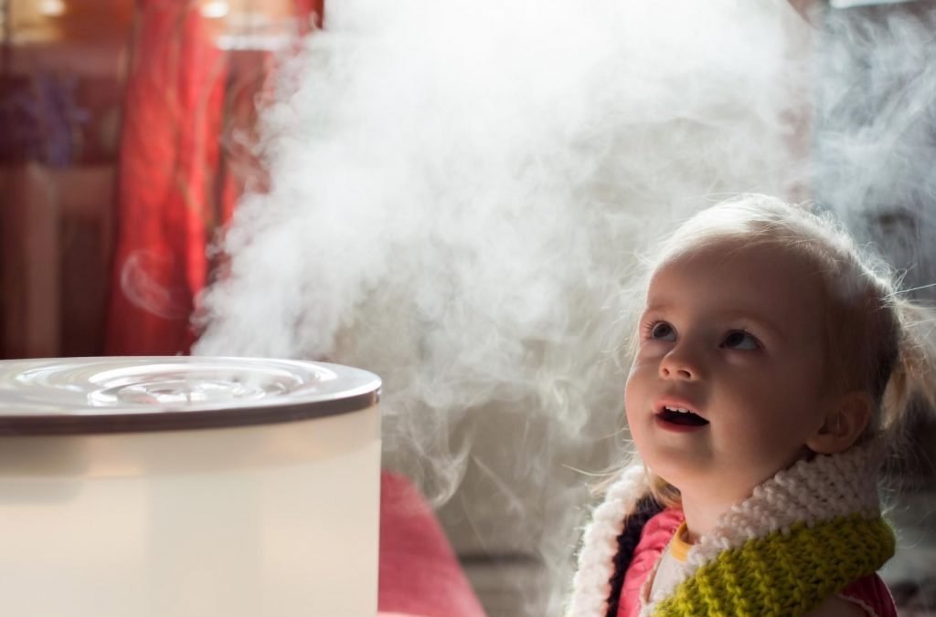 difference between Warm Mist Humidifier vs Vaporizer