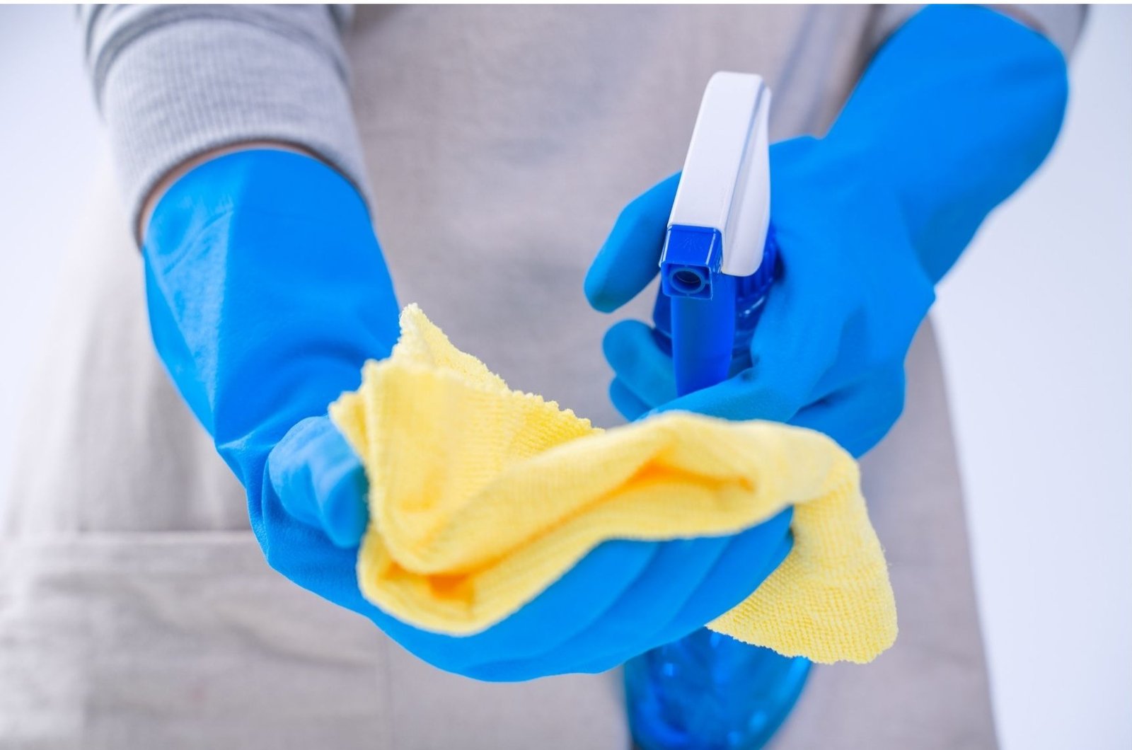 Does Lysol Kill Mold Spores
