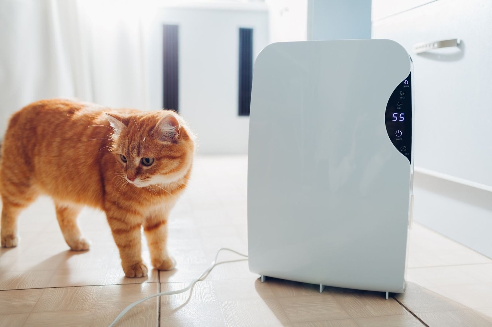 do. dehumidifiers cool the air