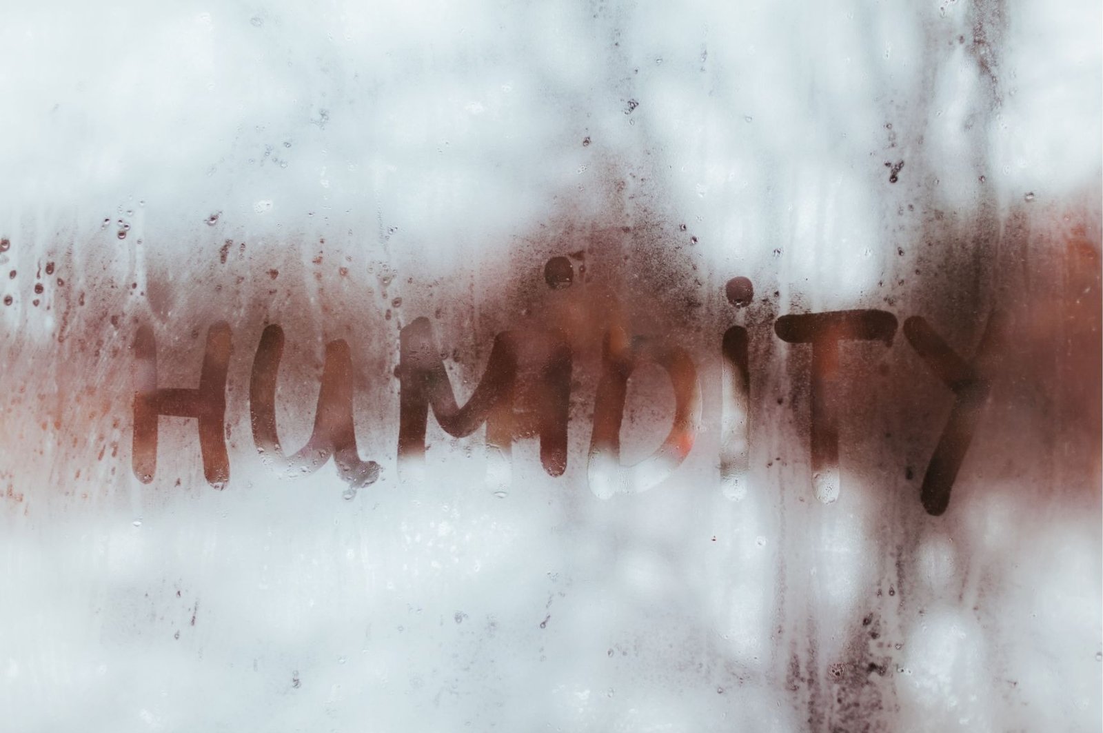 dehumidifier