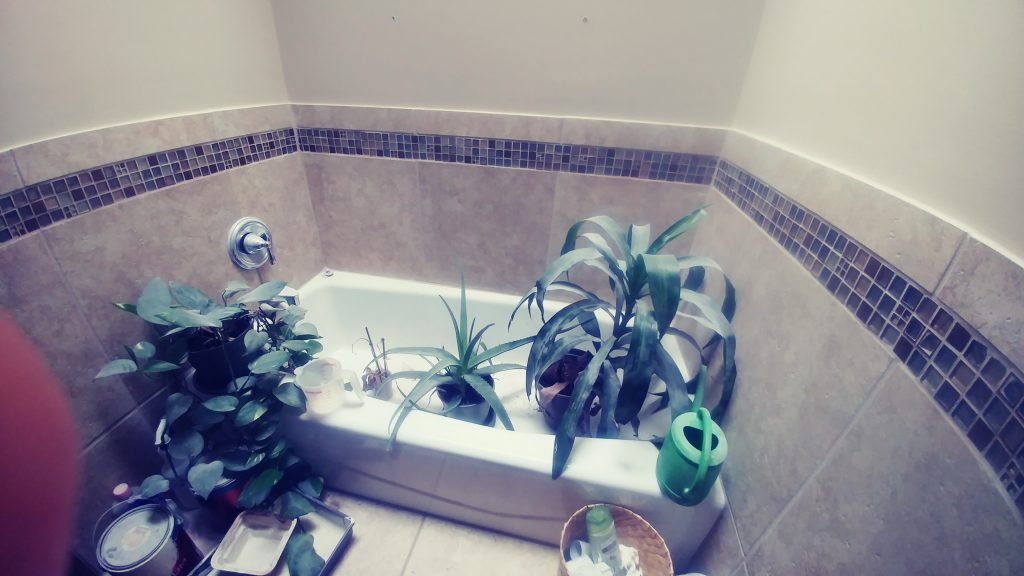 diy houseplant humidifier