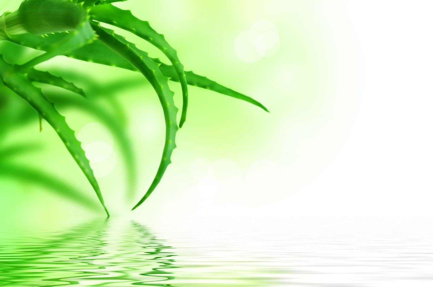 do humidifiers increase oxygen