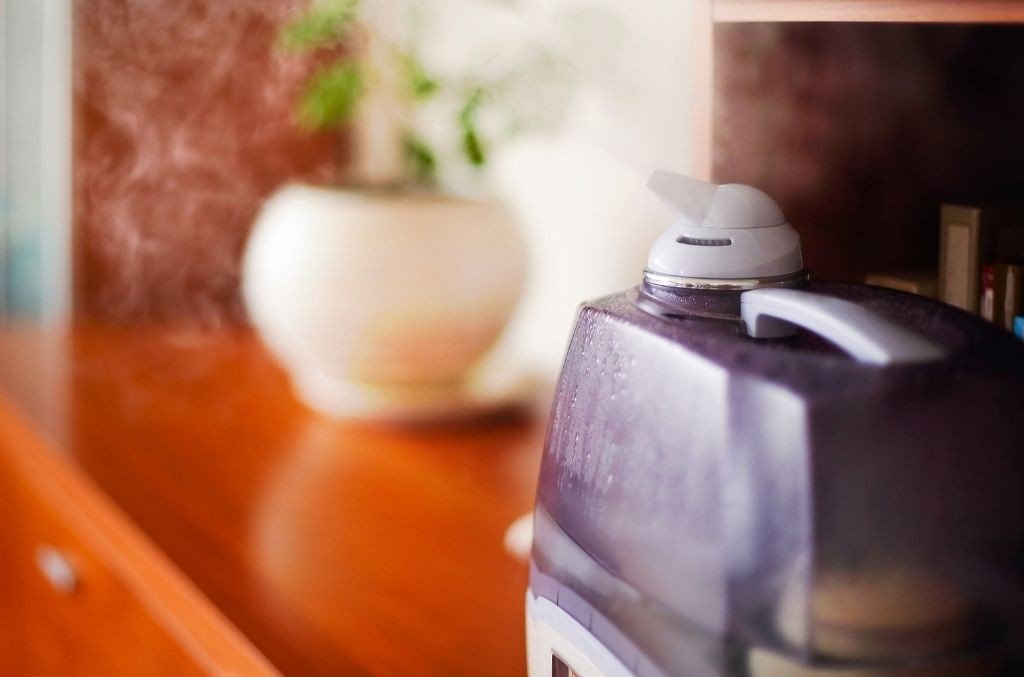 plant humidifier