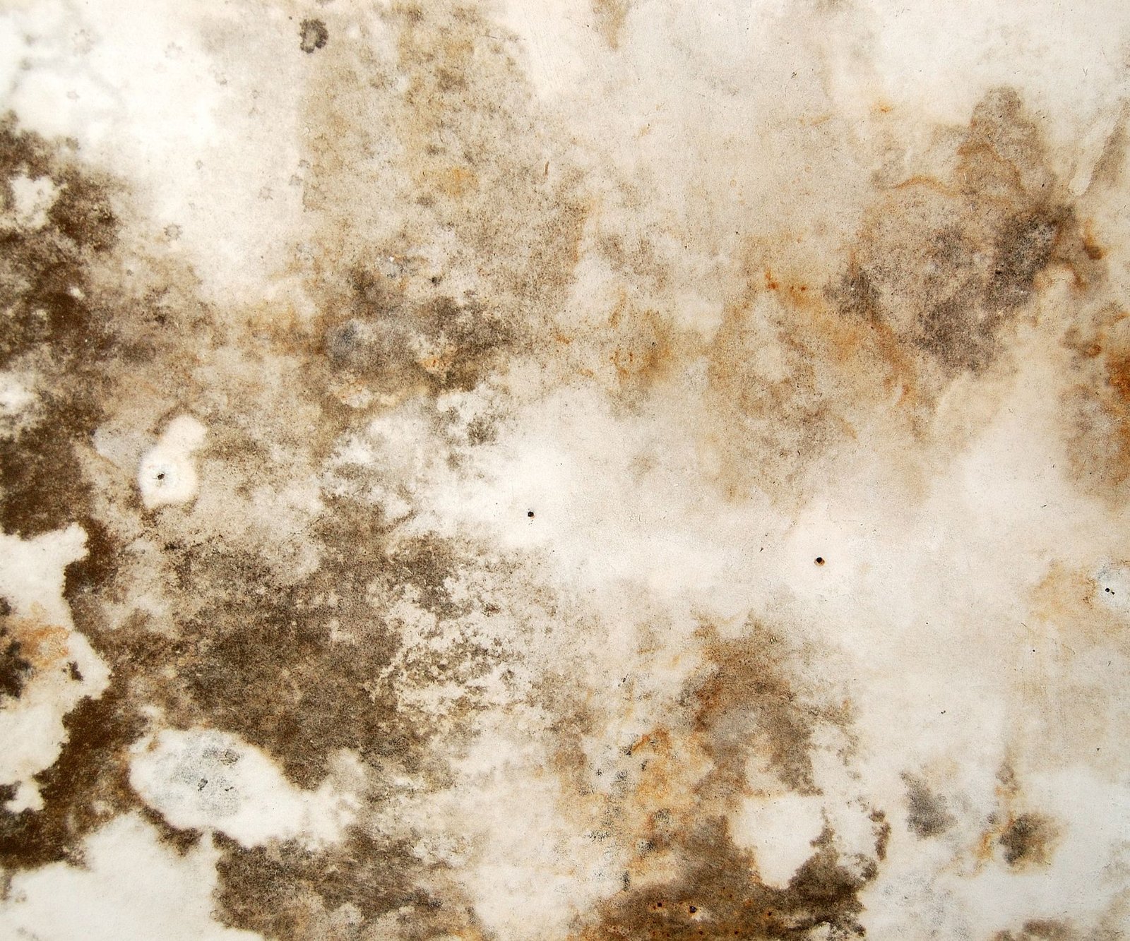 Understanding Mold in Window Air Conditioners