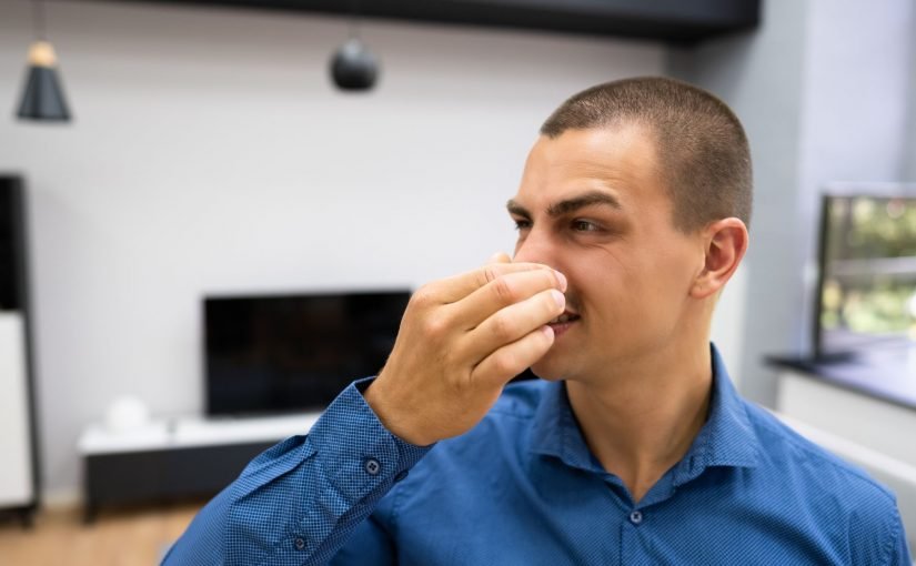Do Window Air Conditioner Reduce Odors? The Smelly Facts